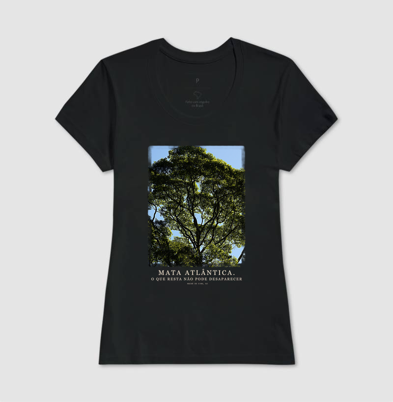 Mata Atlântica - Imagem 3
