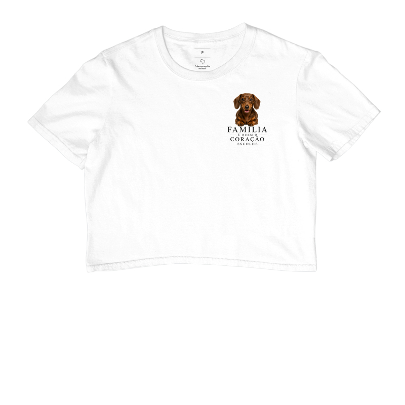 Dachshund Marrom - Família - Imagem 3