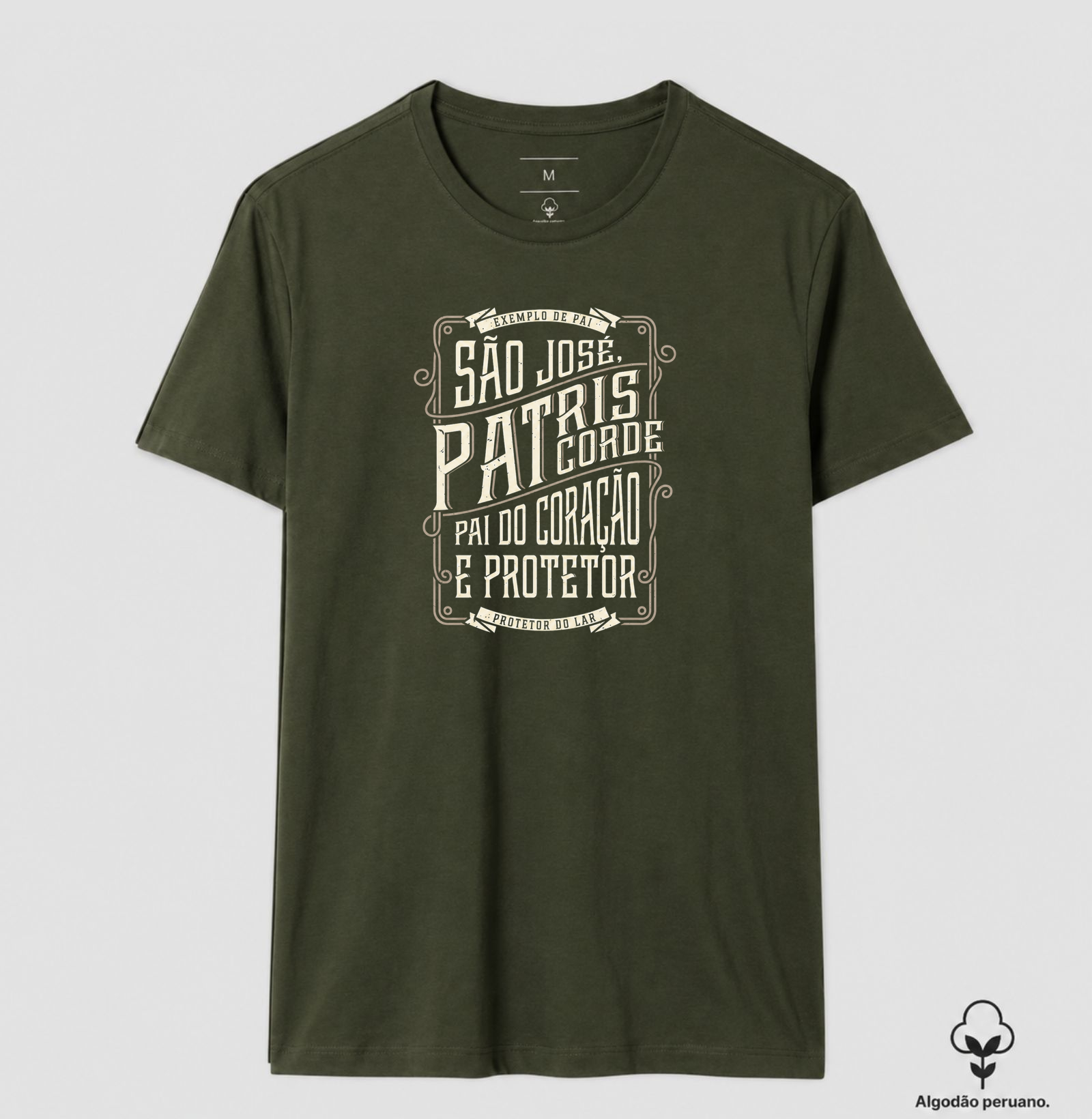PATRIS - Imagem 6