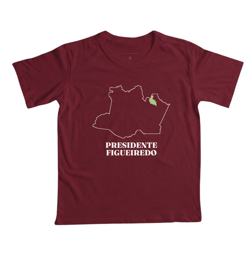 Presidente Figueiredo | Traço AM - Imagem 5