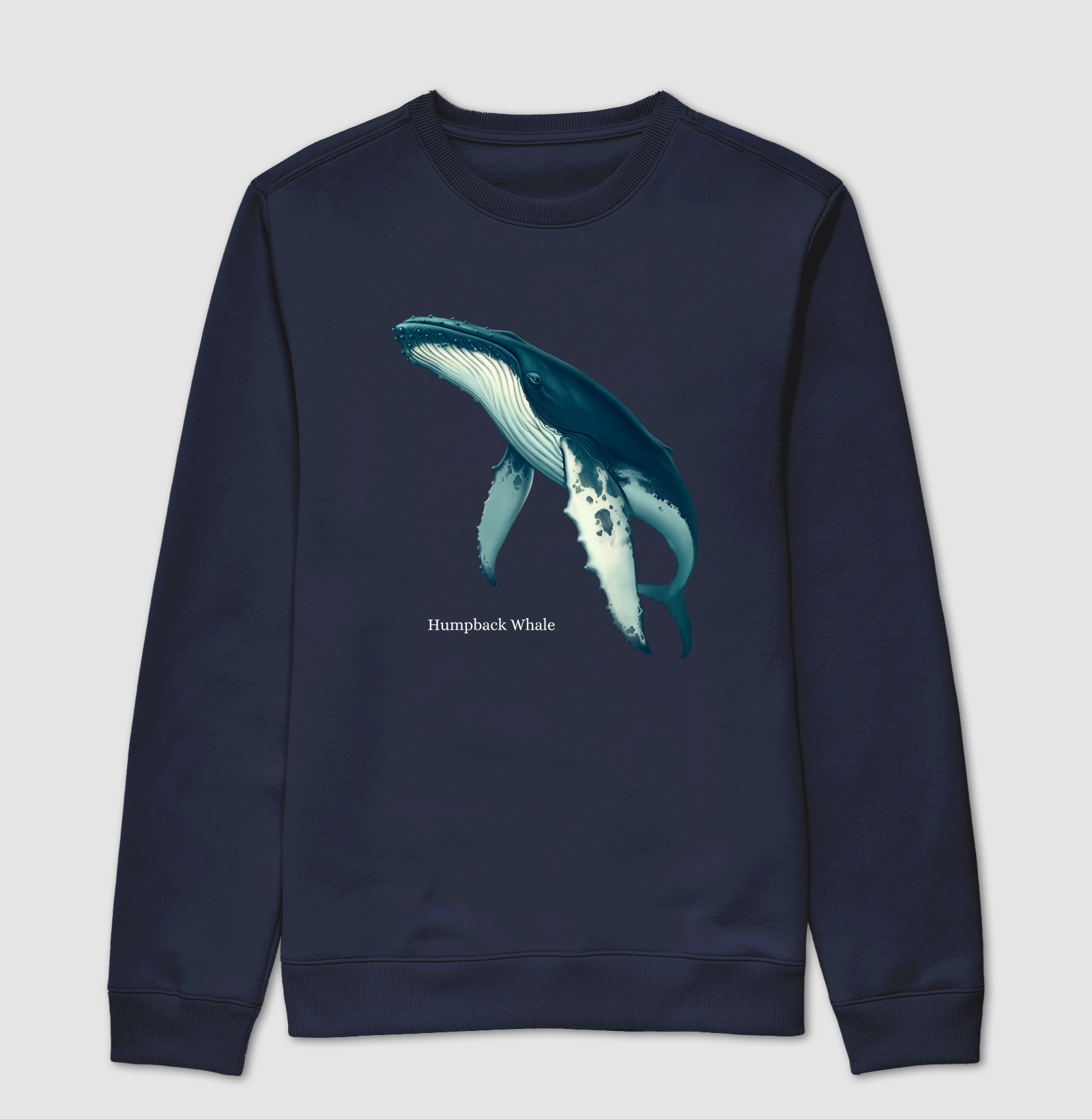 Humpback Whale - Imagem 6