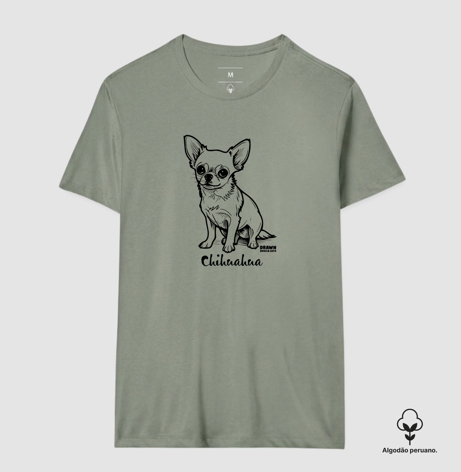 Chihuahua - Imagem 4