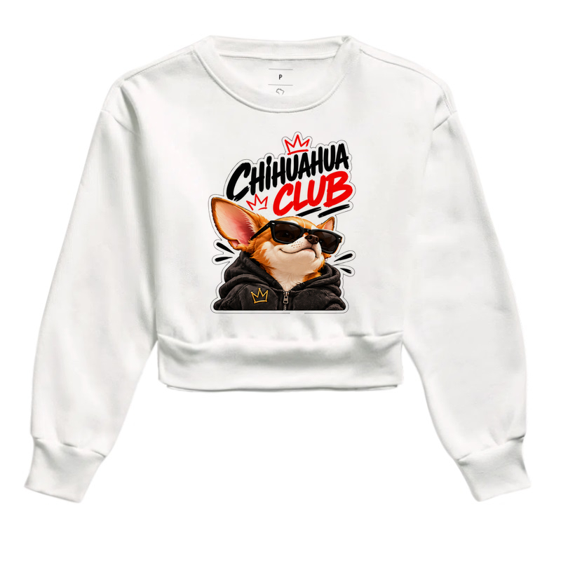 Chihuahua Club - Imagem 3