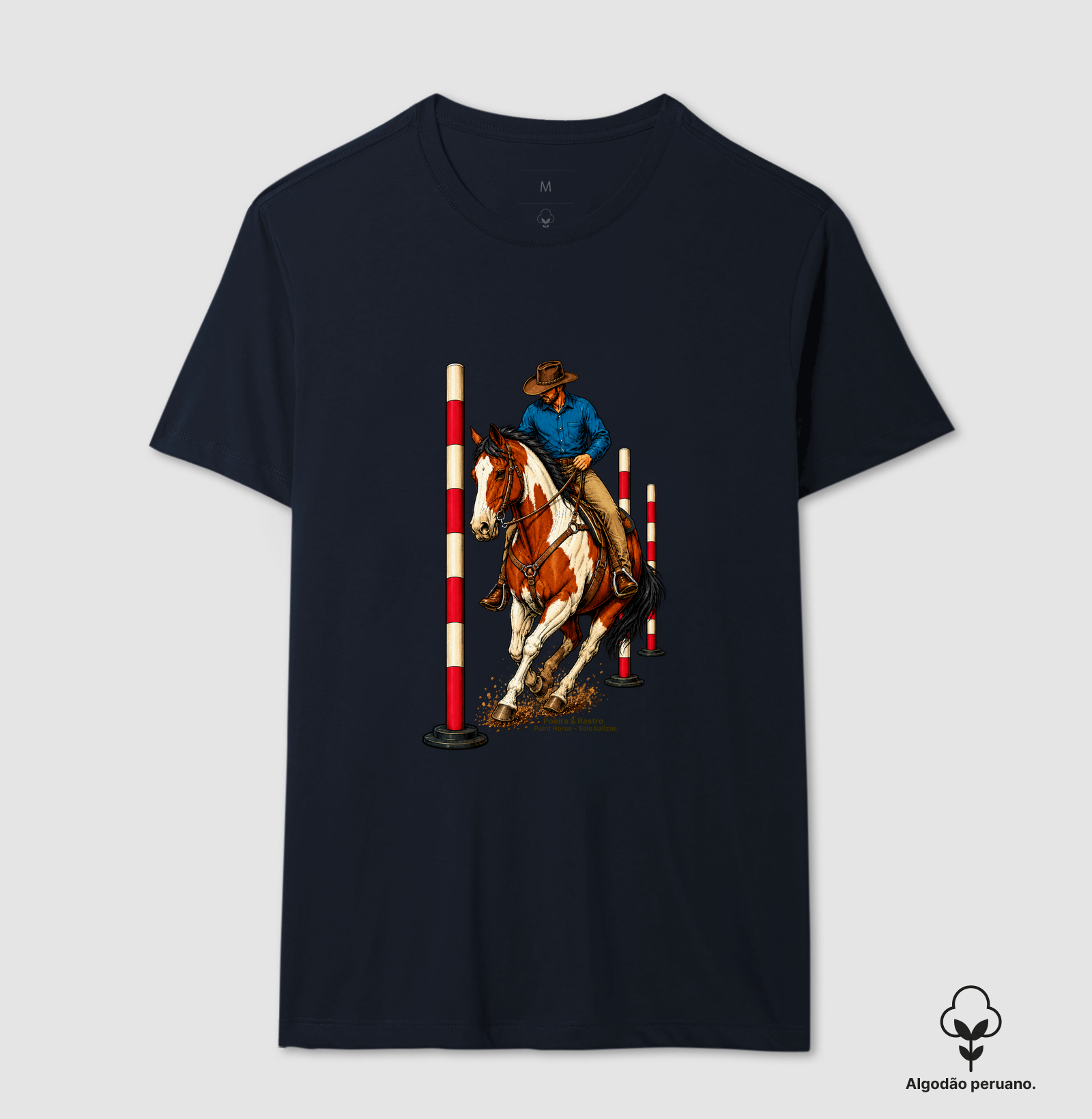 Paint Horse - Seis Balizas. - Imagem 7
