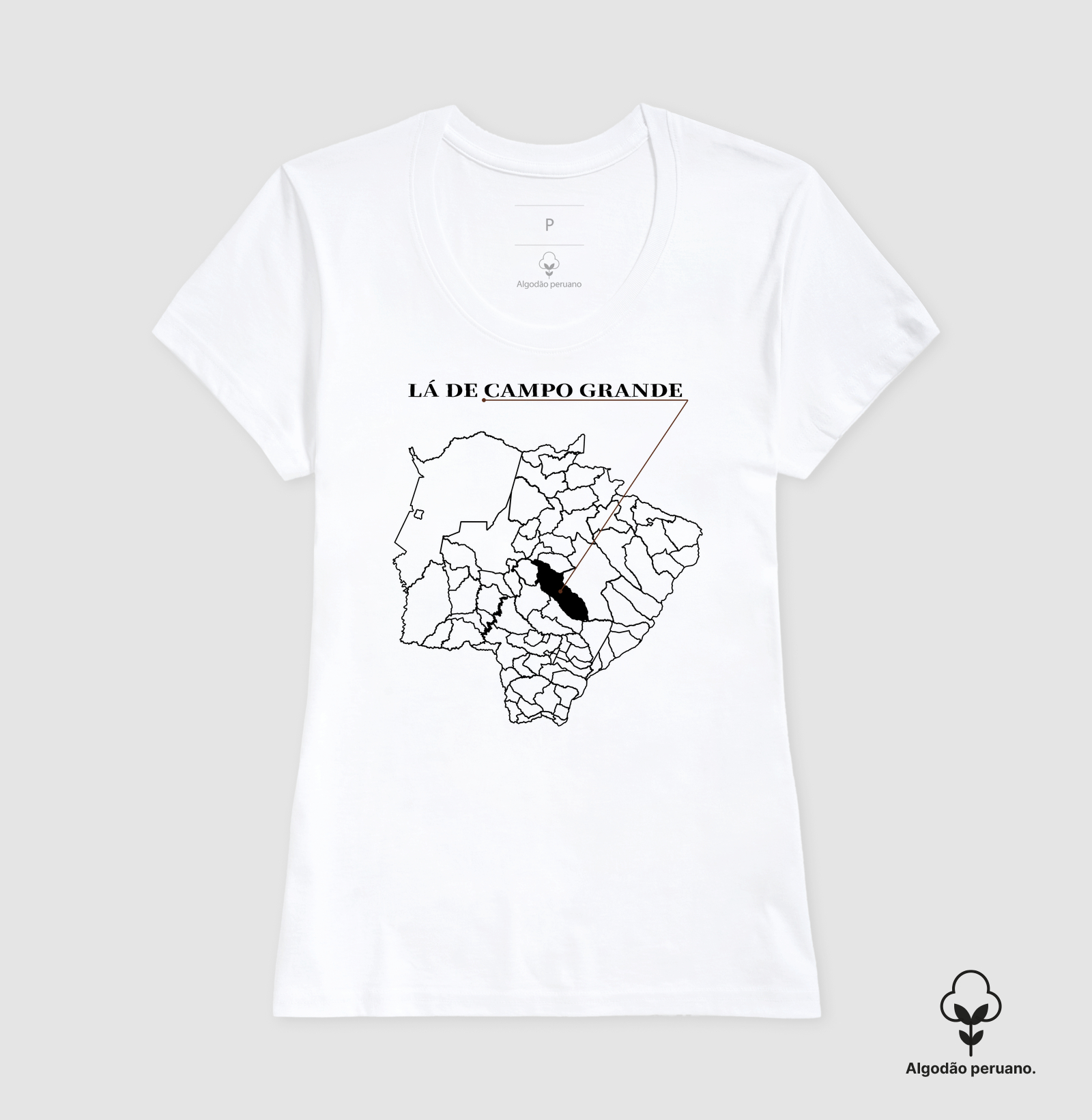 Campo Grande | Origem MS - Imagem 6