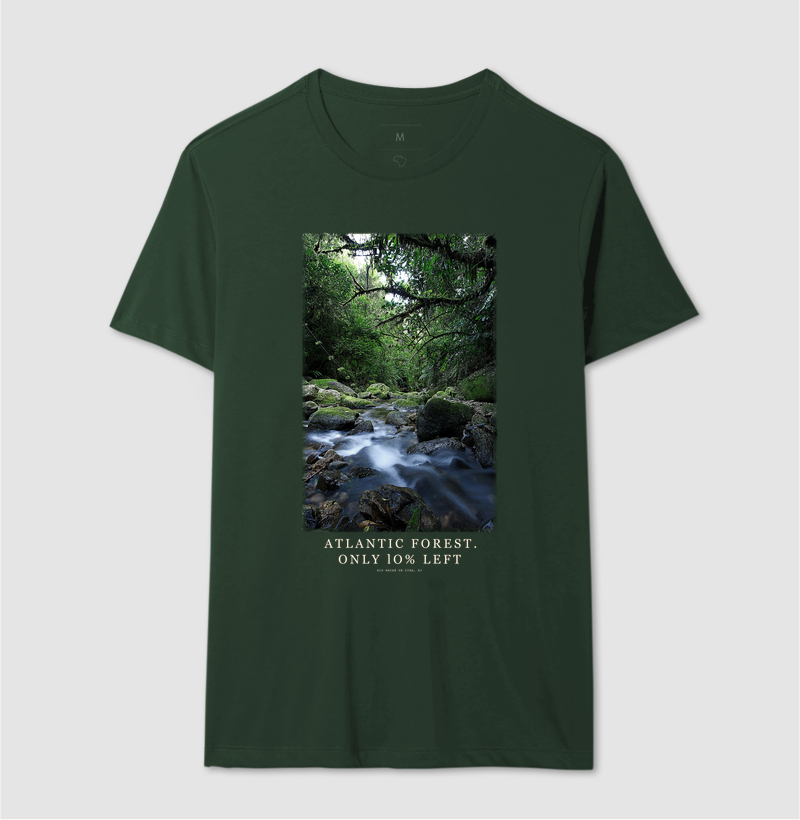 Atlantic Forest - Imagem 6