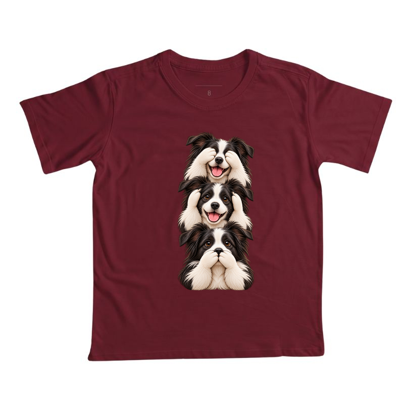 Ver, ouvir e falar Border Collie - Imagem 6