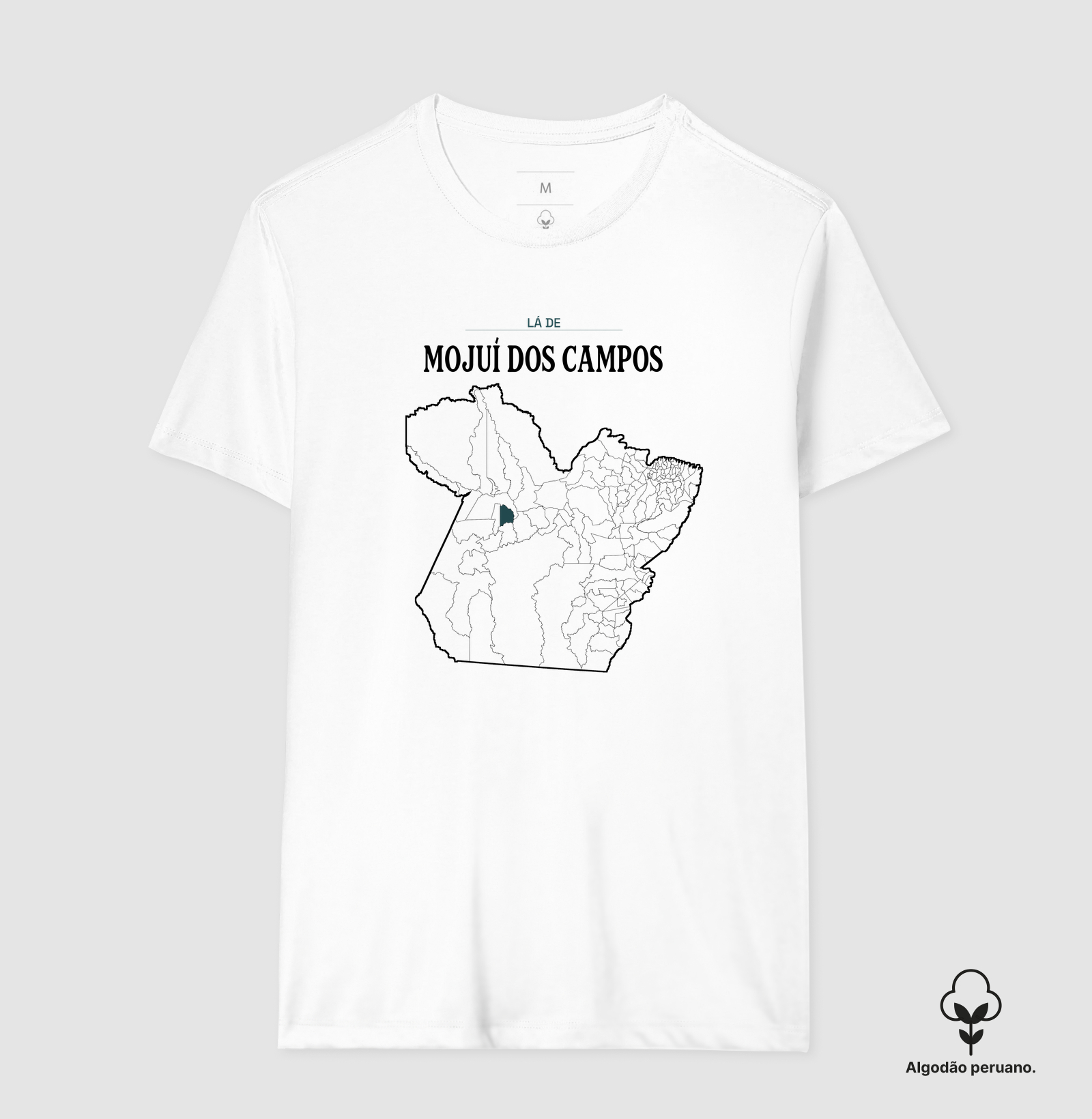 Mojuí dos Campos | Território PA - Imagem 7