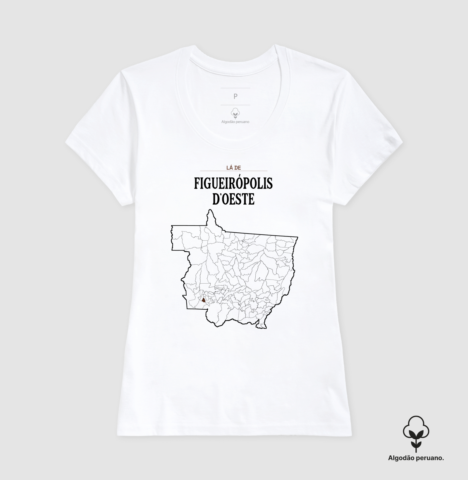 Figueirópolis D'Oeste | Território MT - Imagem 8