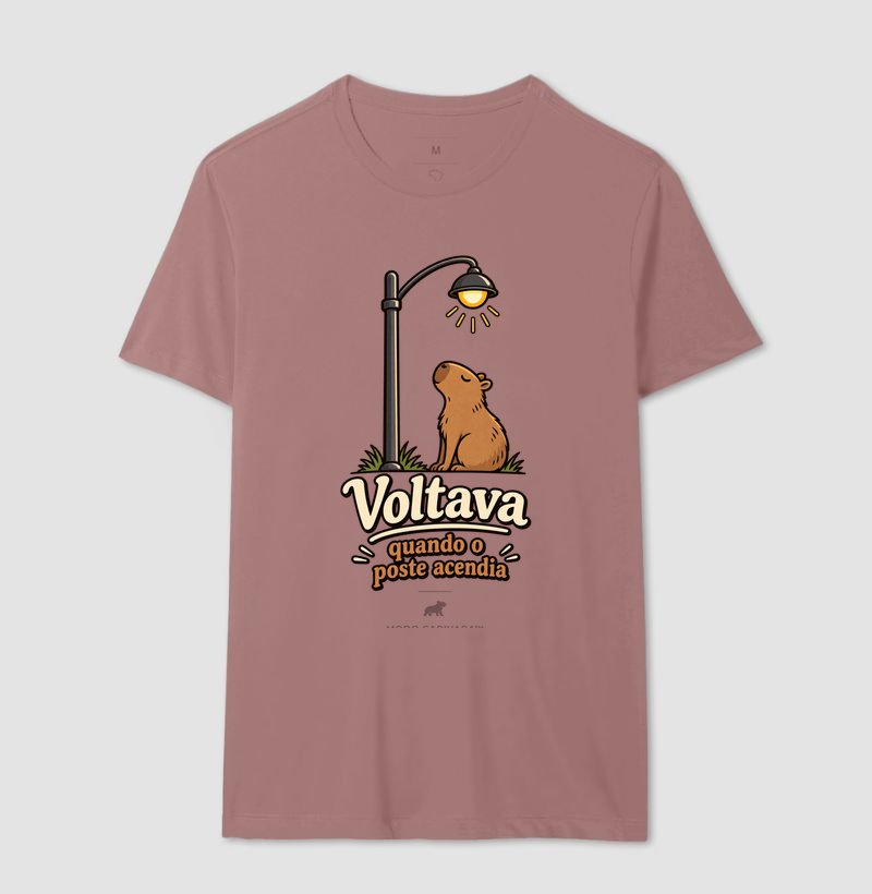 VOLTAVA QUANDO O POSTE ACENDIA - Imagem 16