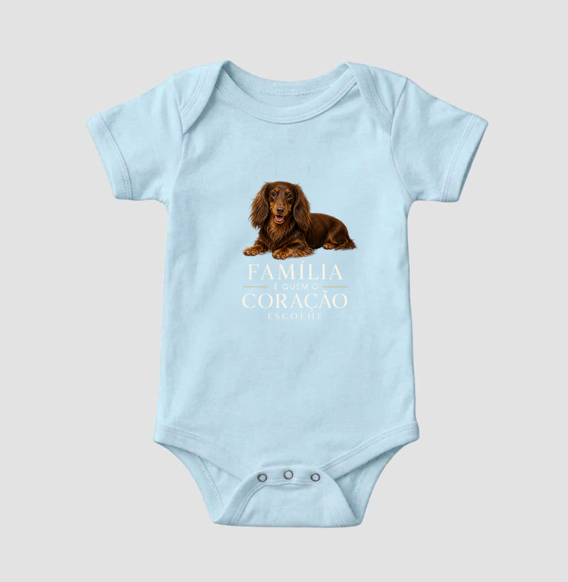 Dachshund Pelo Longo Marrom - Família - Imagem 4