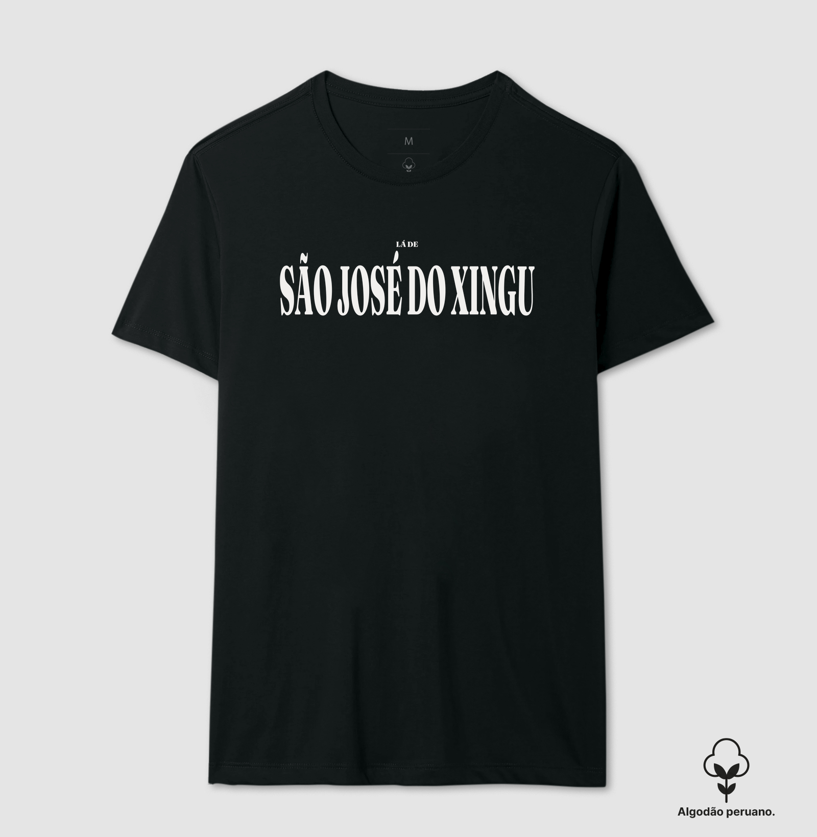 São José do Xingu | Tipografia MT - Imagem 8