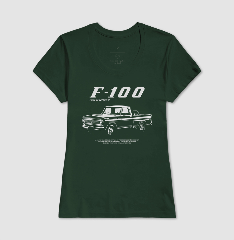 F-100 | Alma de Automóvel - Imagem 16