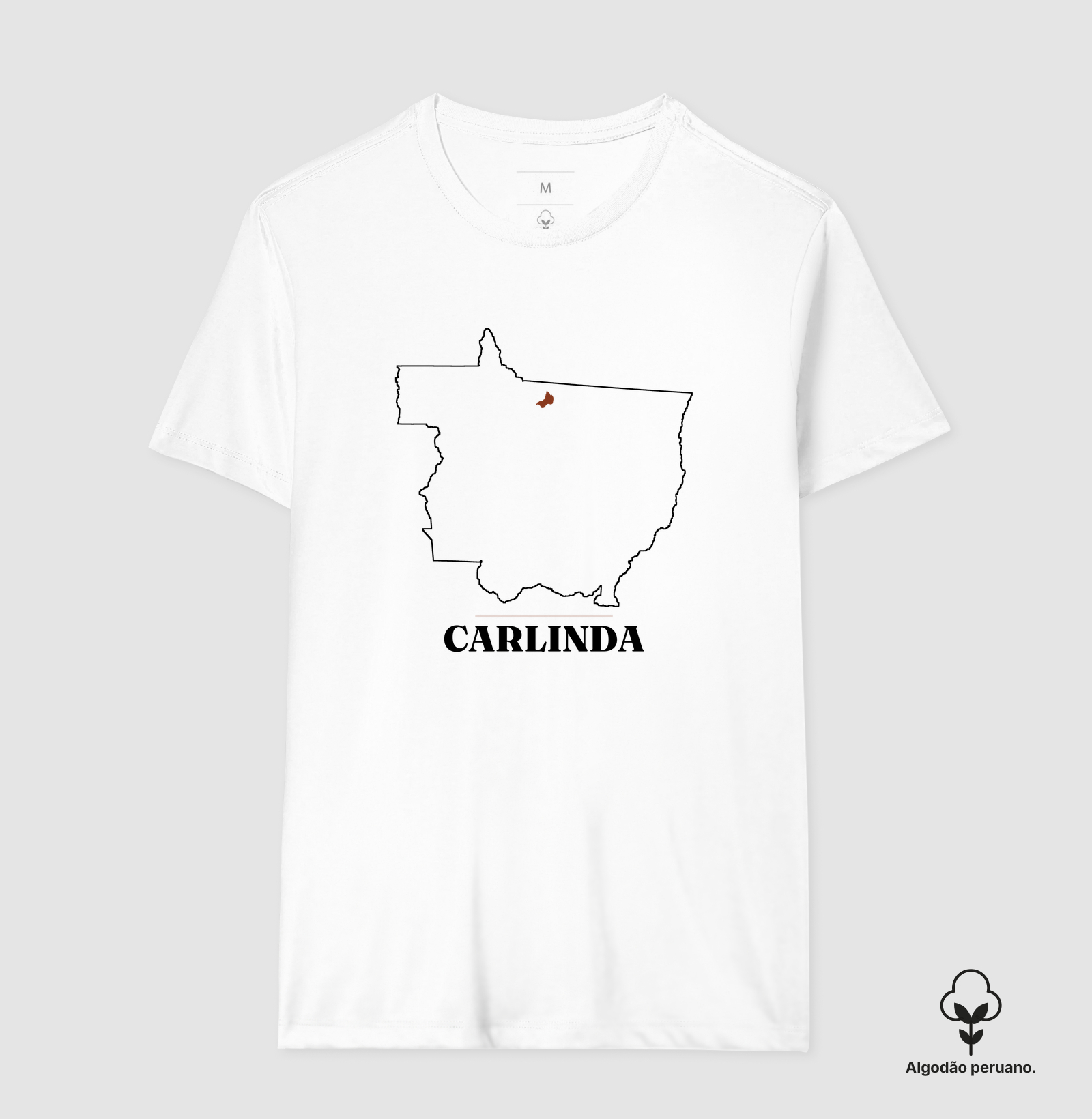 Carlinda | Traço MT - Imagem 4