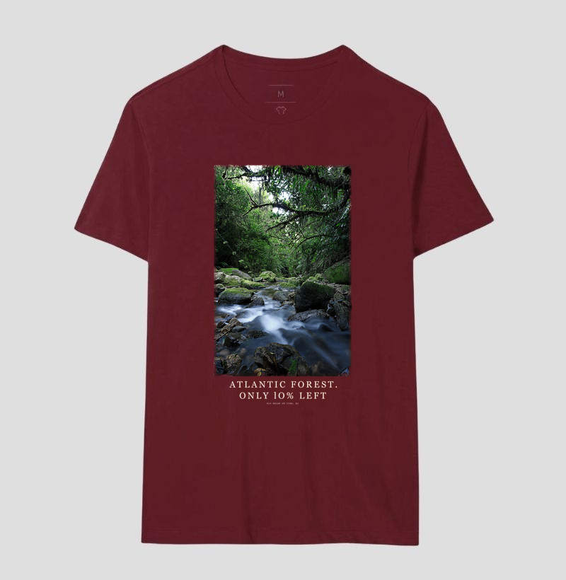 Atlantic Forest - Imagem 8