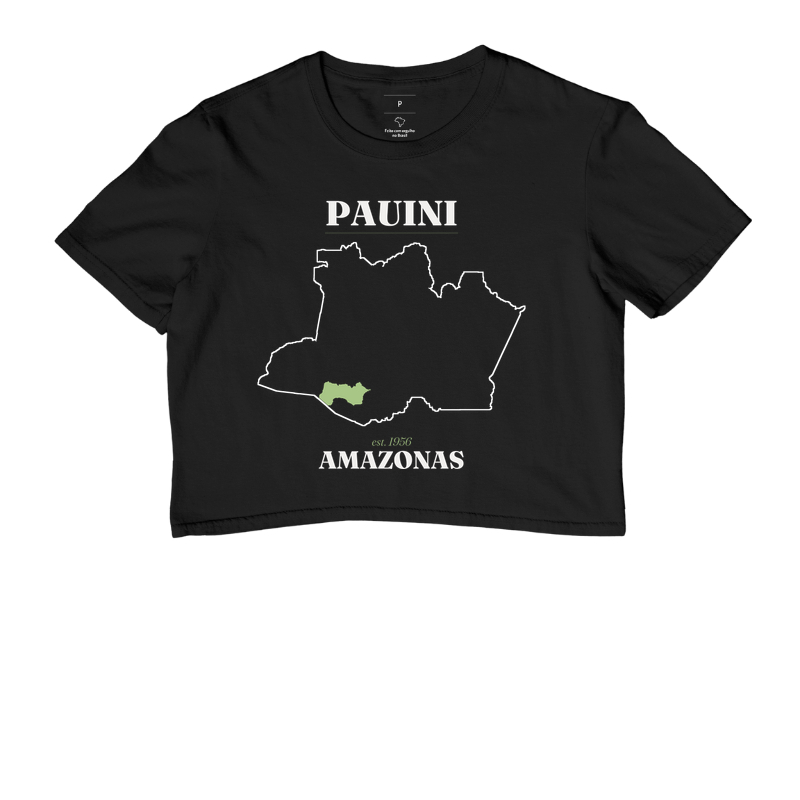 Pauini | Legado AM - Imagem 2