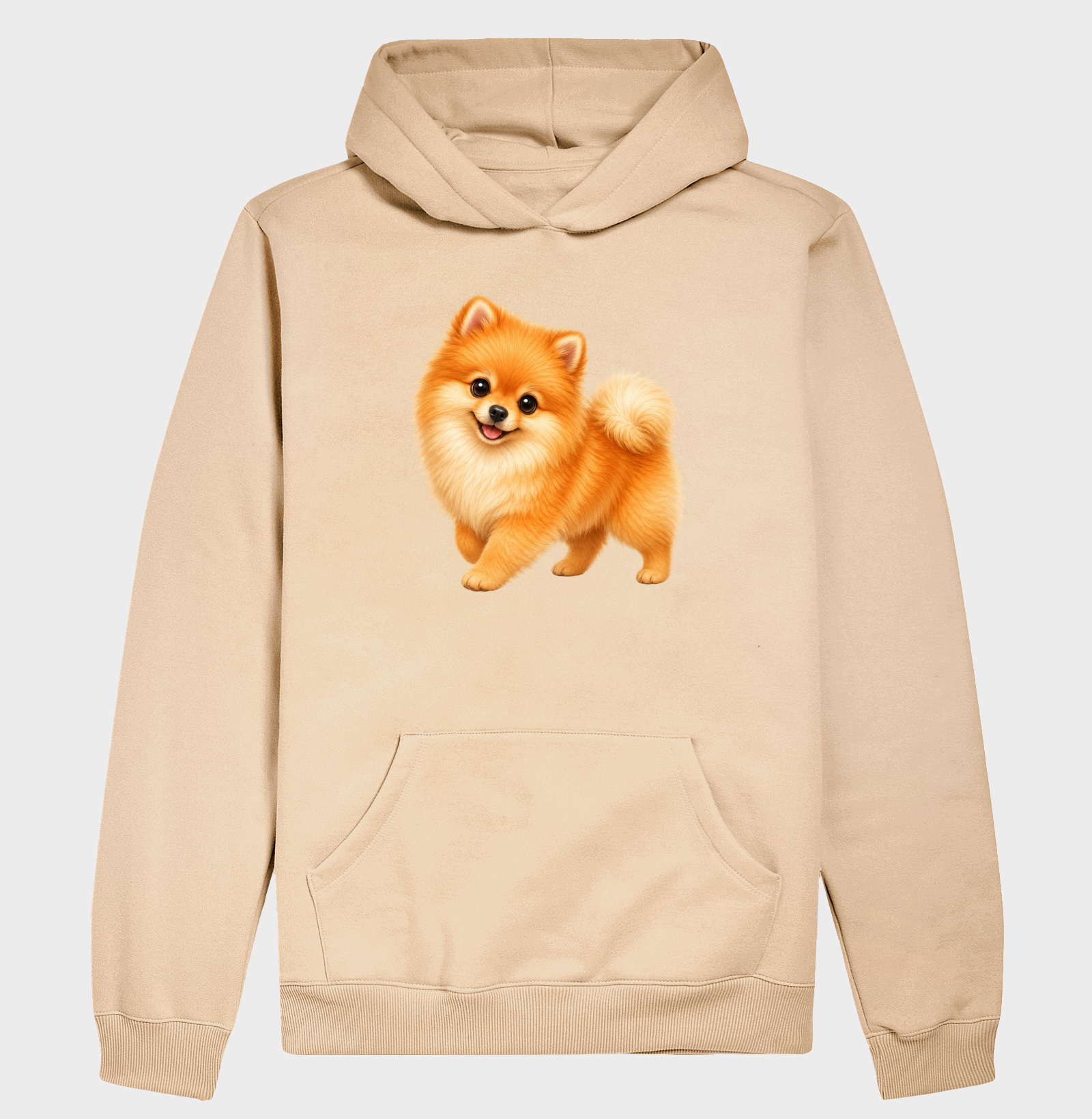 Pomerânia (Spitz Alemão) Laranja - Desenho Animado - Imagem 5
