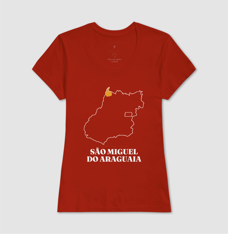 São Miguel do Araguaia | Traço GO - Imagem 11