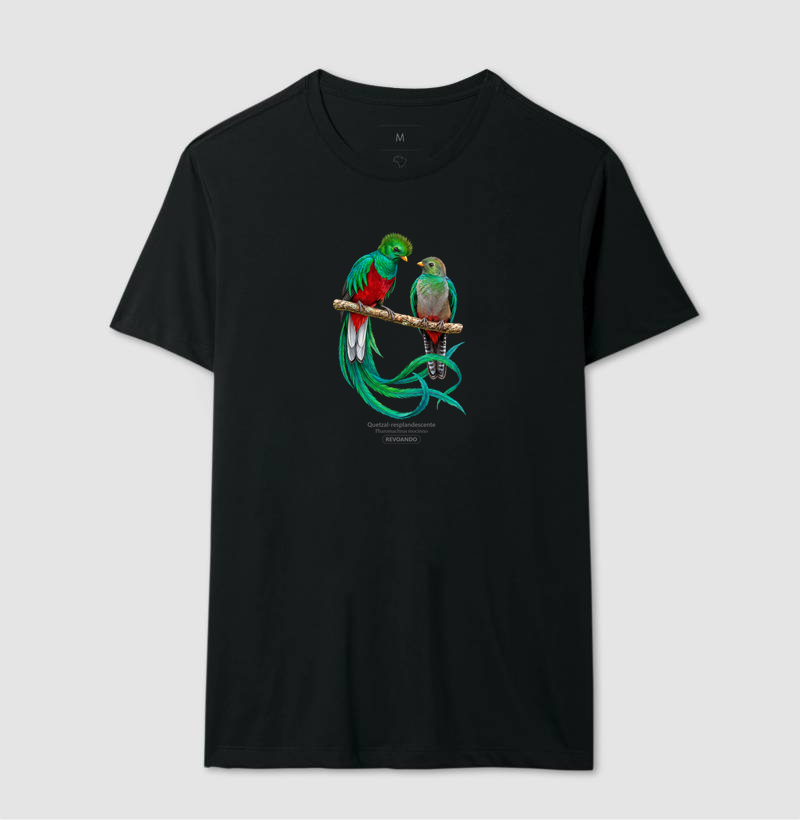 Traços Alados - Quetzal-resplandescente - Imagem 4