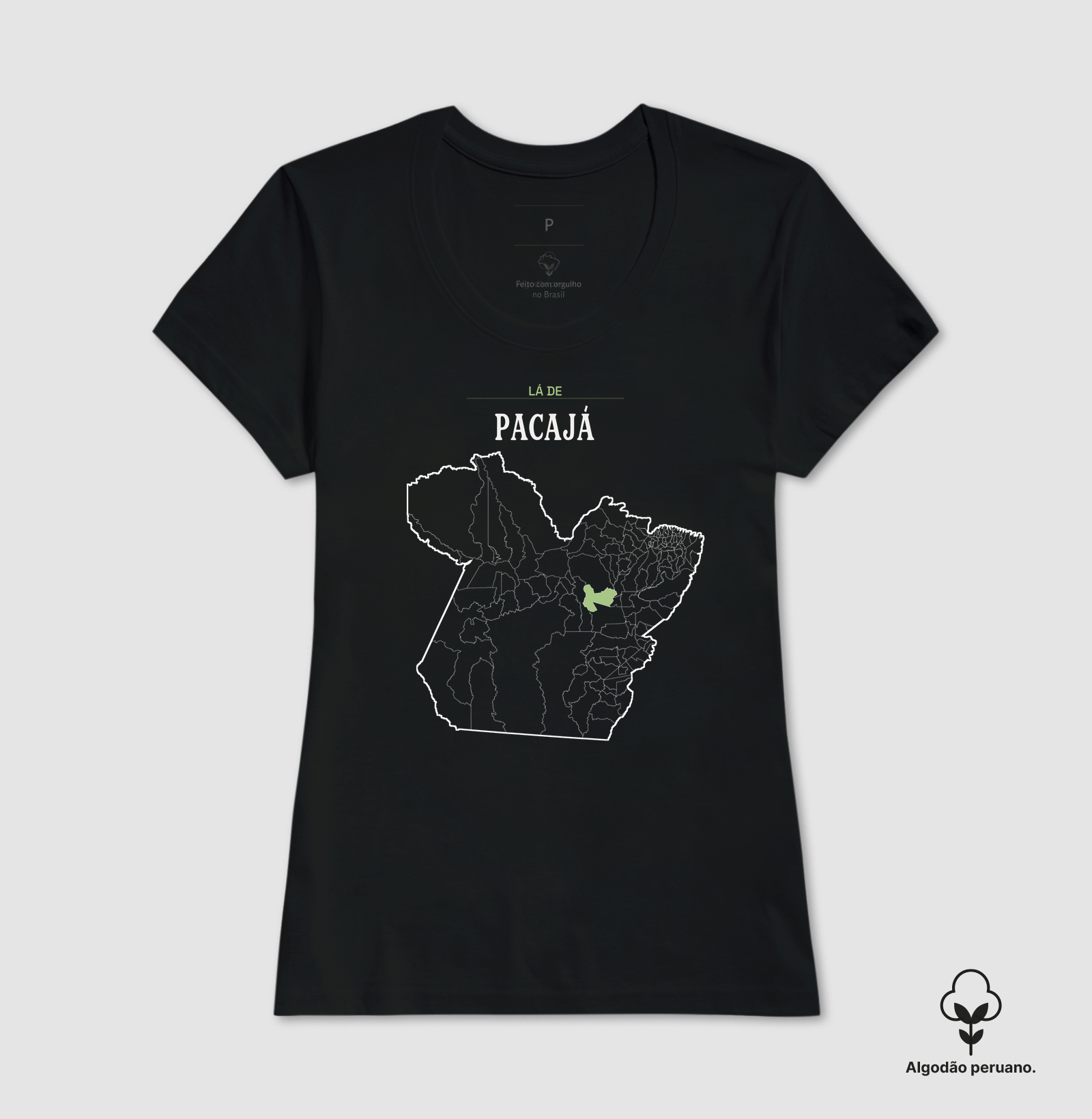 Pacajá | Território PA - Imagem 7
