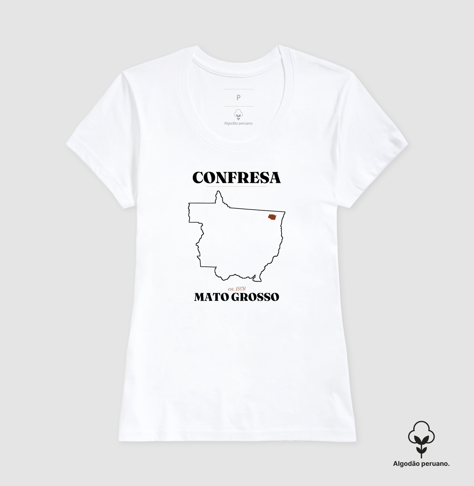 Confresa | Legado MT - Imagem 6
