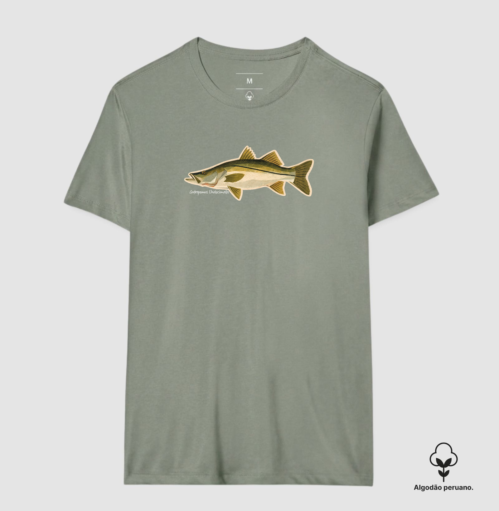 Robalo - Imagem 9