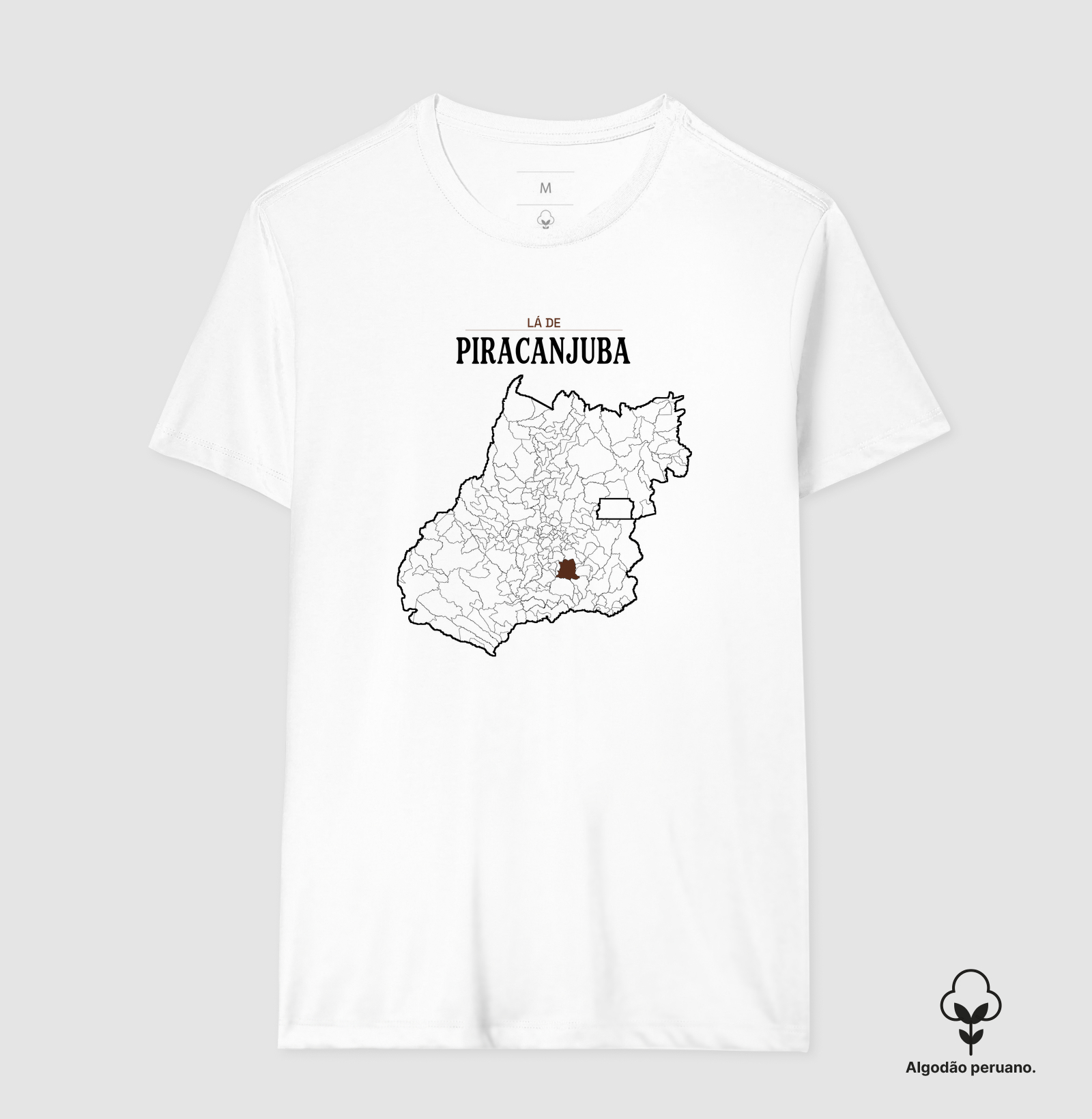 Piracanjuba | Território GO - Imagem 8