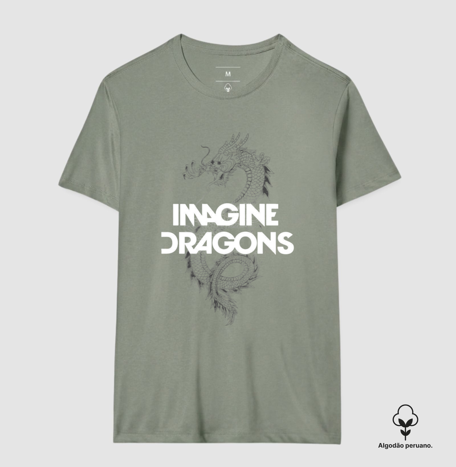 Imagine Dragons - Dragão - Imagem 6