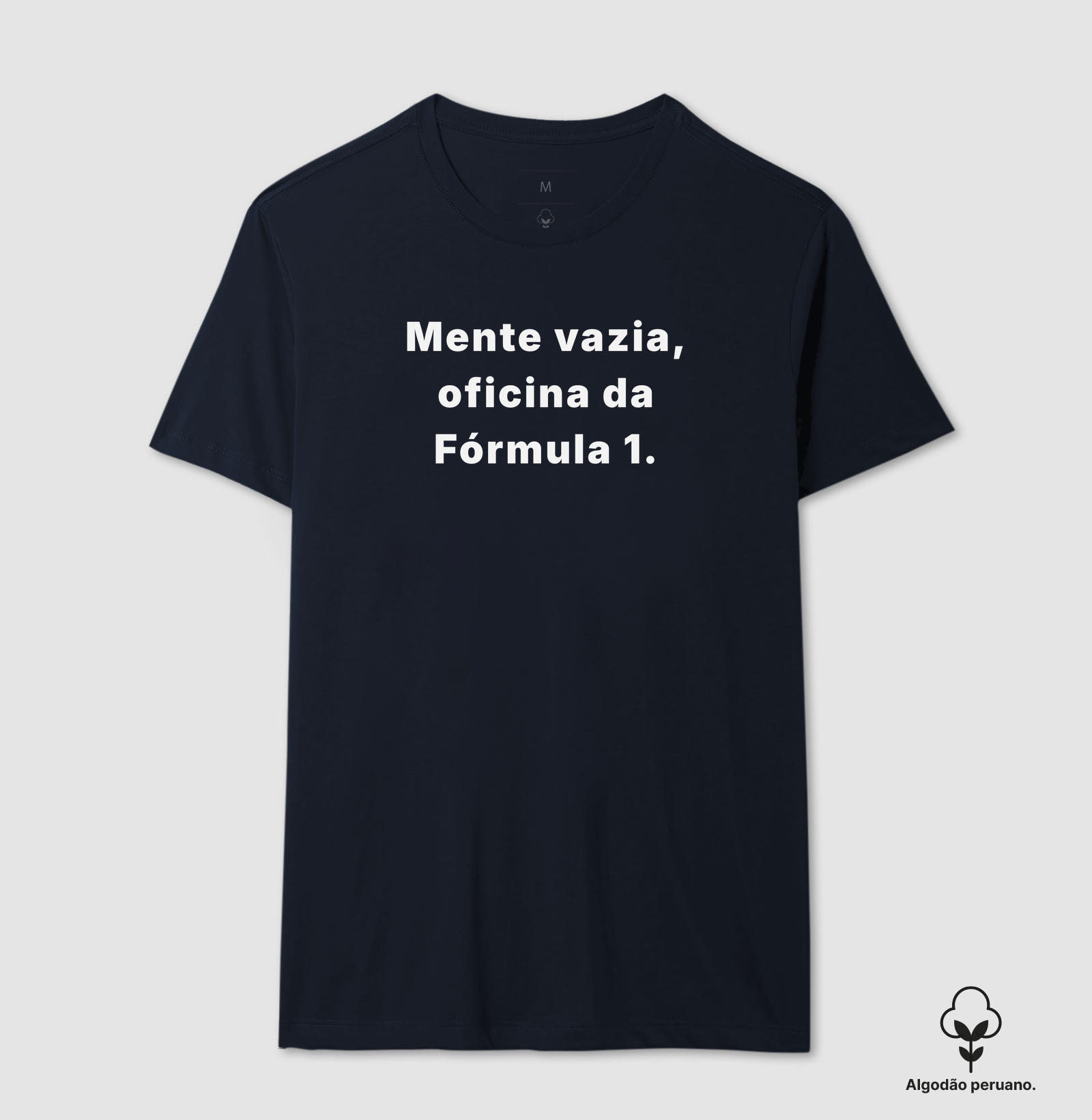 Mente vazia, oficina da f1 - Imagem 3