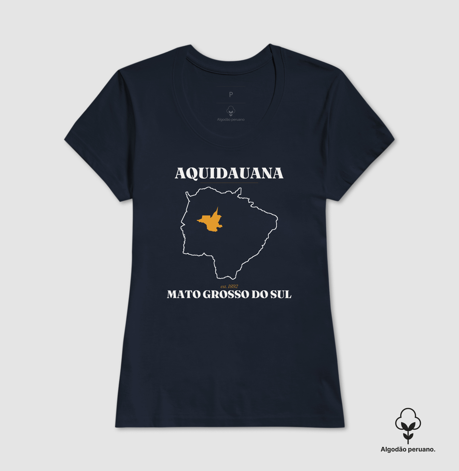 Aquidauana | Legado MS - Imagem 8