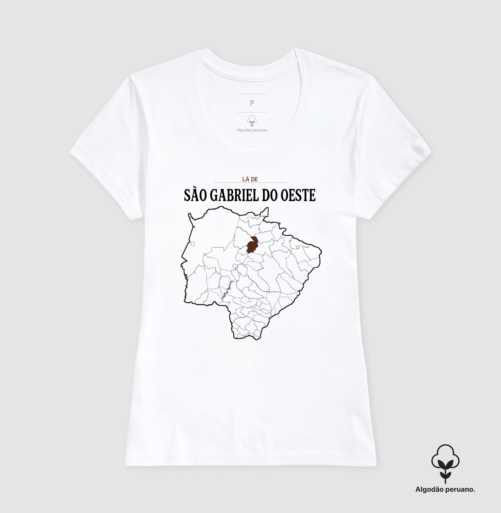 São Gabriel do Oeste | Território MS - Imagem 7