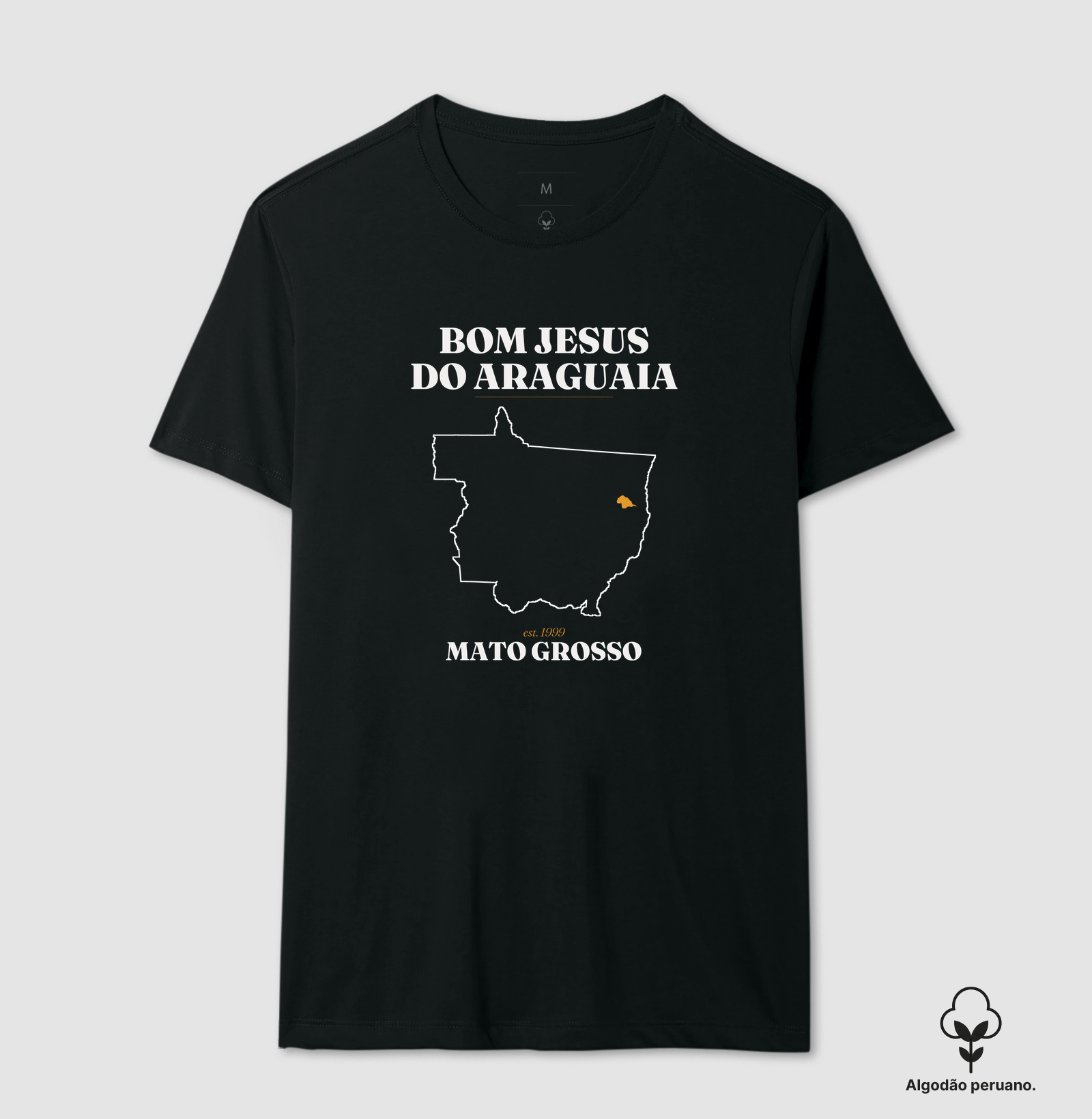 Bom Jesus do Araguaia | Legado MT - Imagem 2