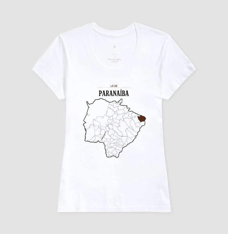 Paranaíba | Território MS - Imagem 5