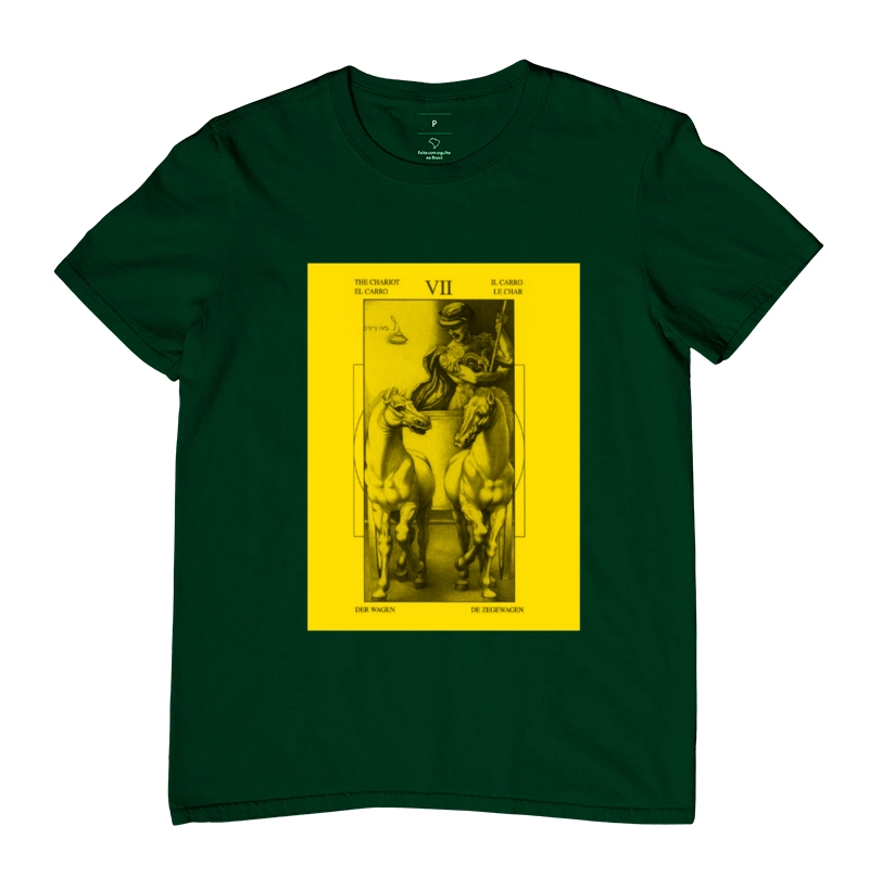 Camisa 11
