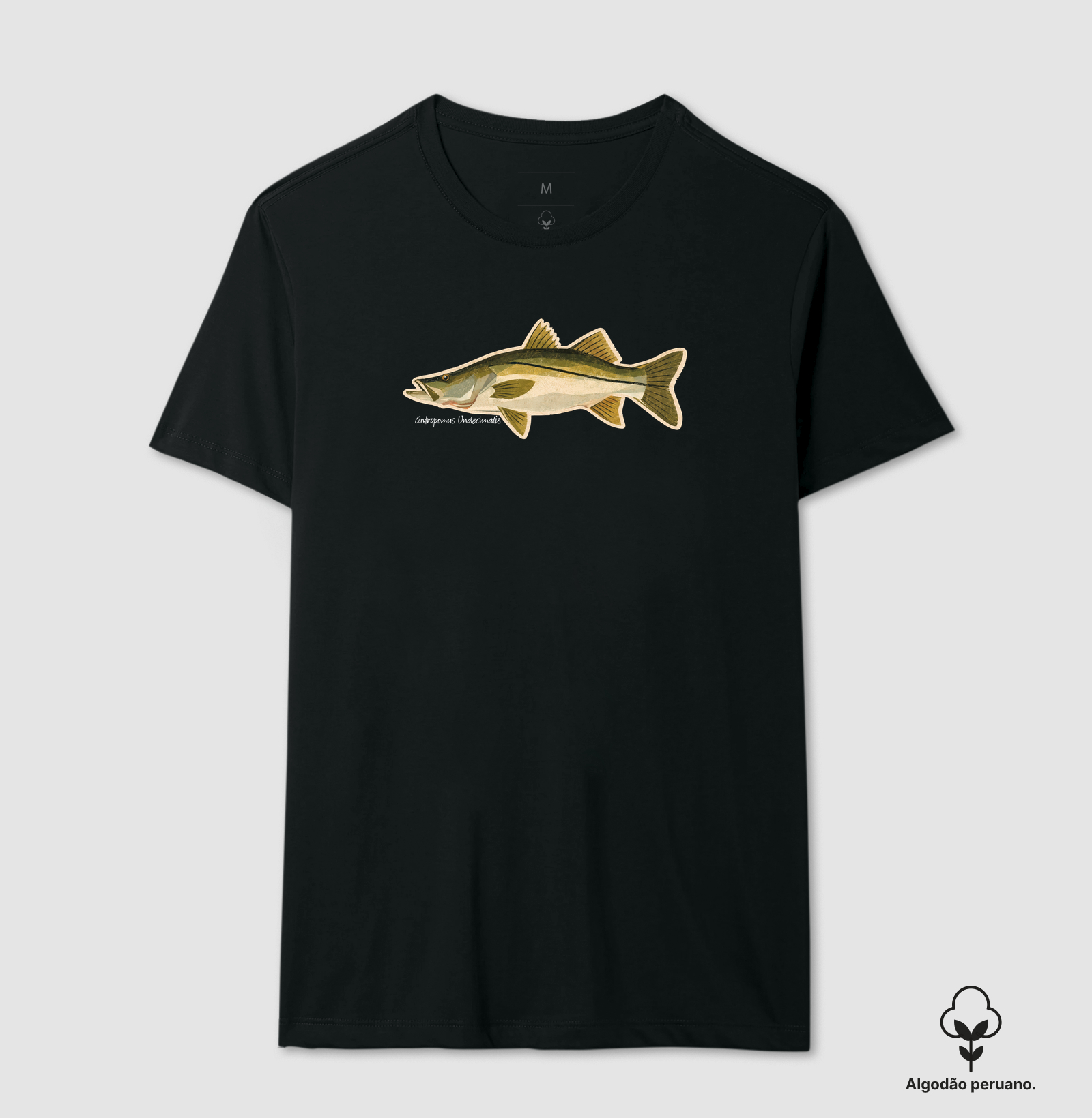 Robalo - Imagem 2
