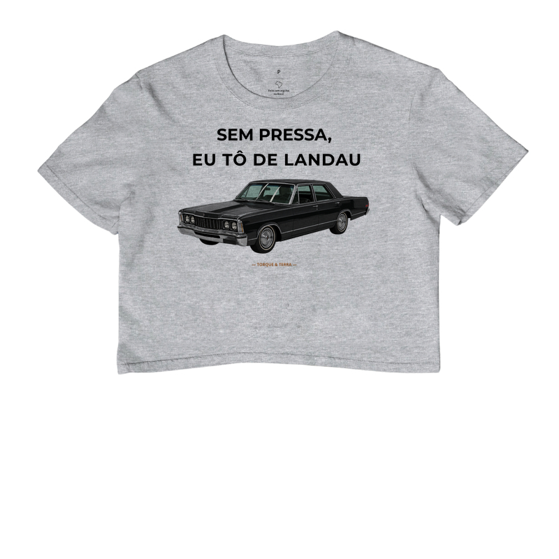 Sem pressa, eu tô de Landau - Imagem 6