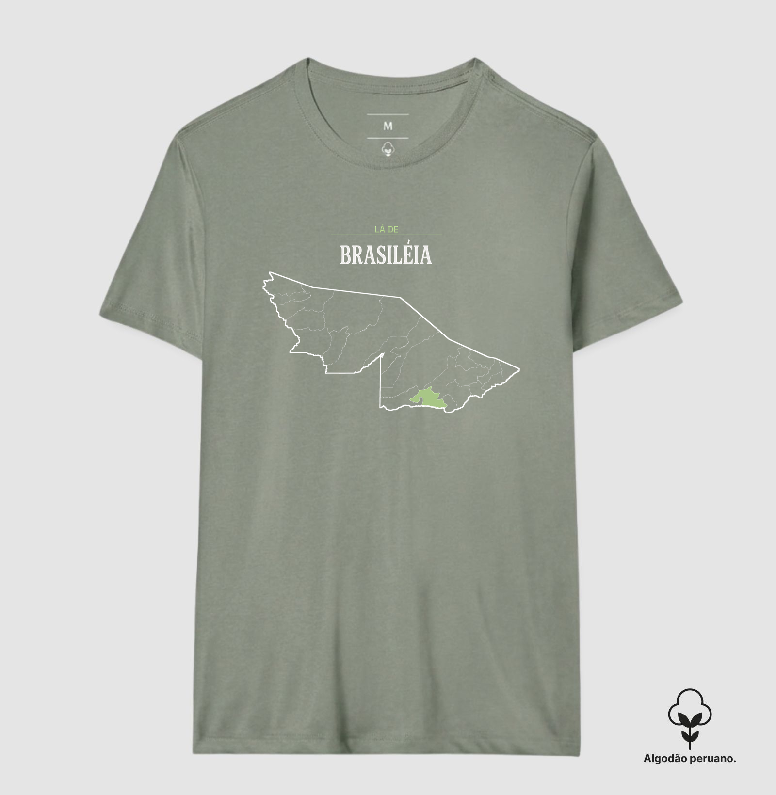 Brasiléia | Território AC - Imagem 2