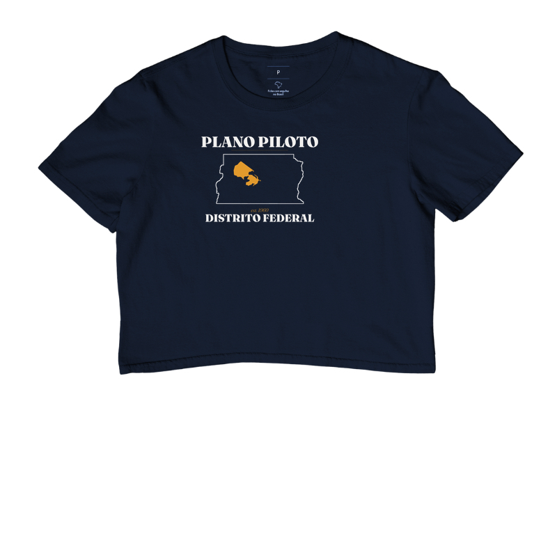 Plano Piloto | Legado DF - Imagem 4