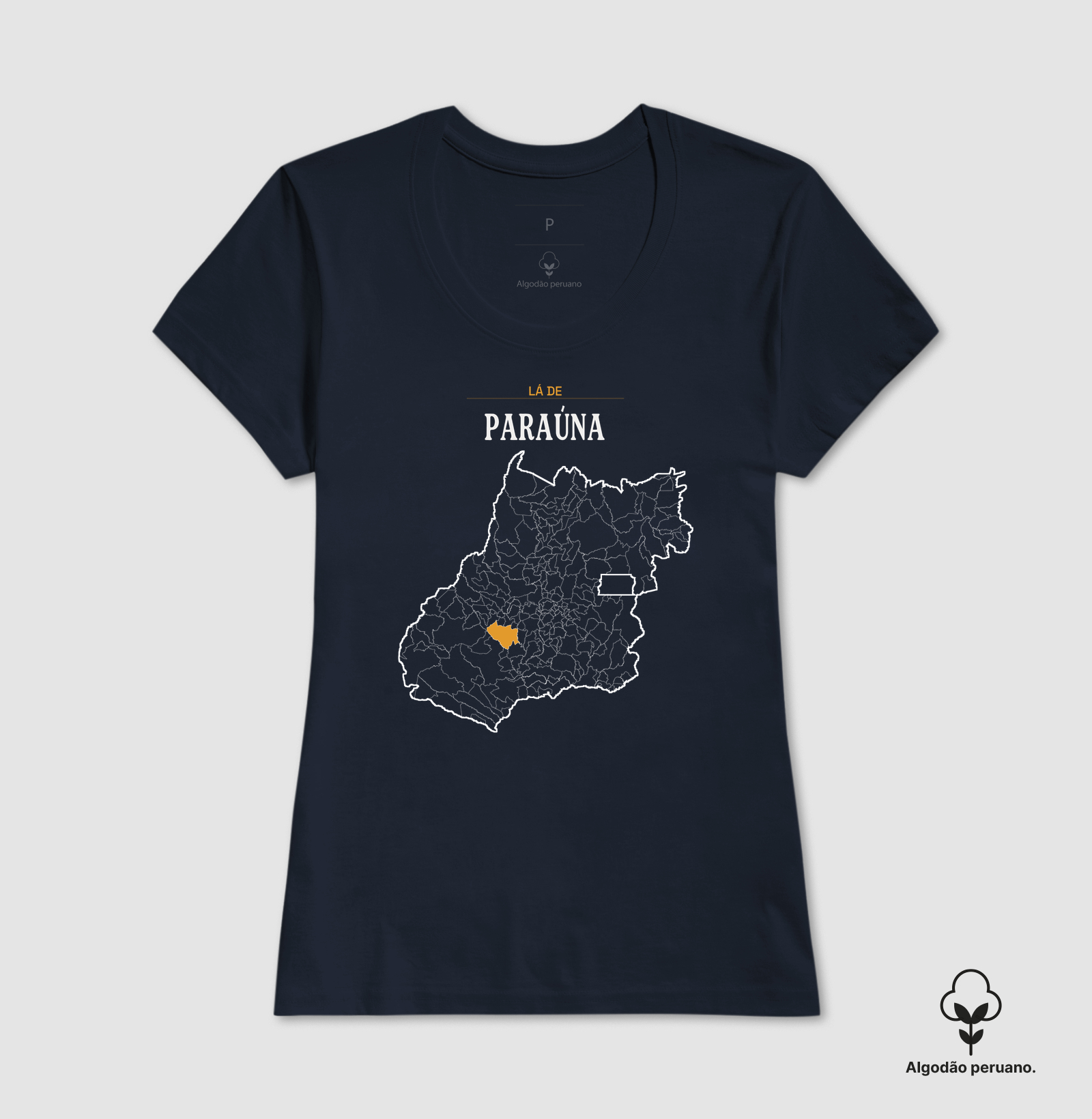 Paraúna | Território GO - Imagem 8