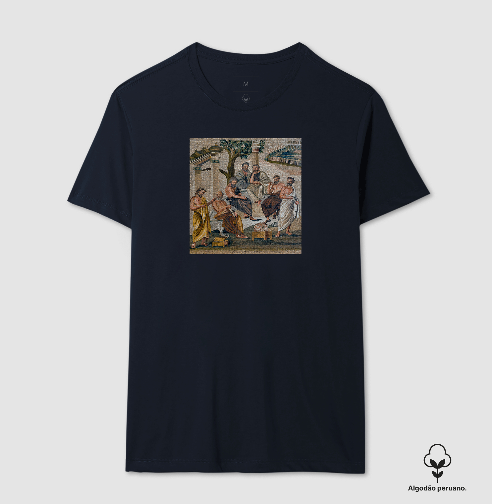 A Academia de Platão — Mosaico de Pompeia - Imagem 4