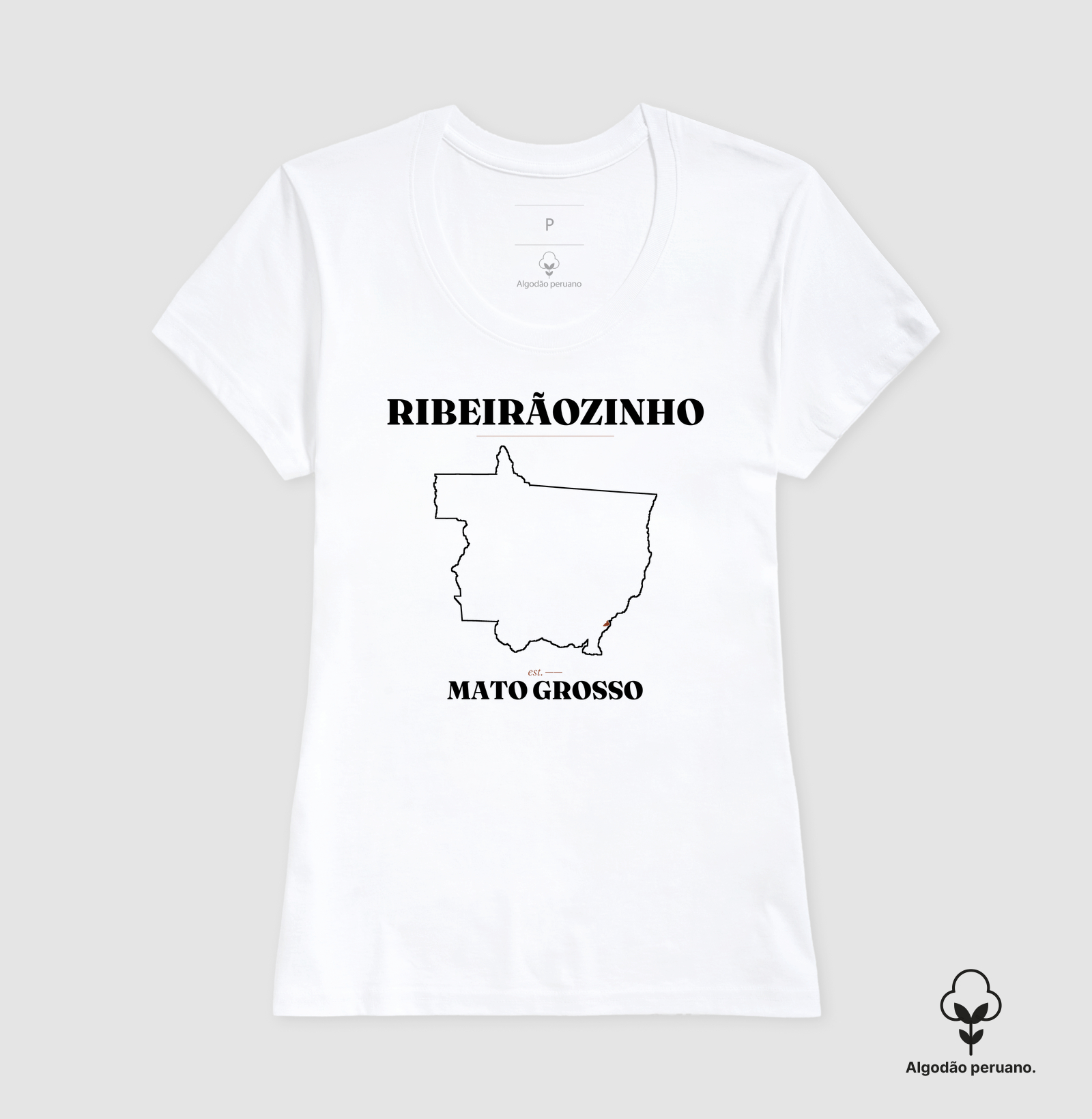 Ribeirãozinho | Legado MT - Imagem 6