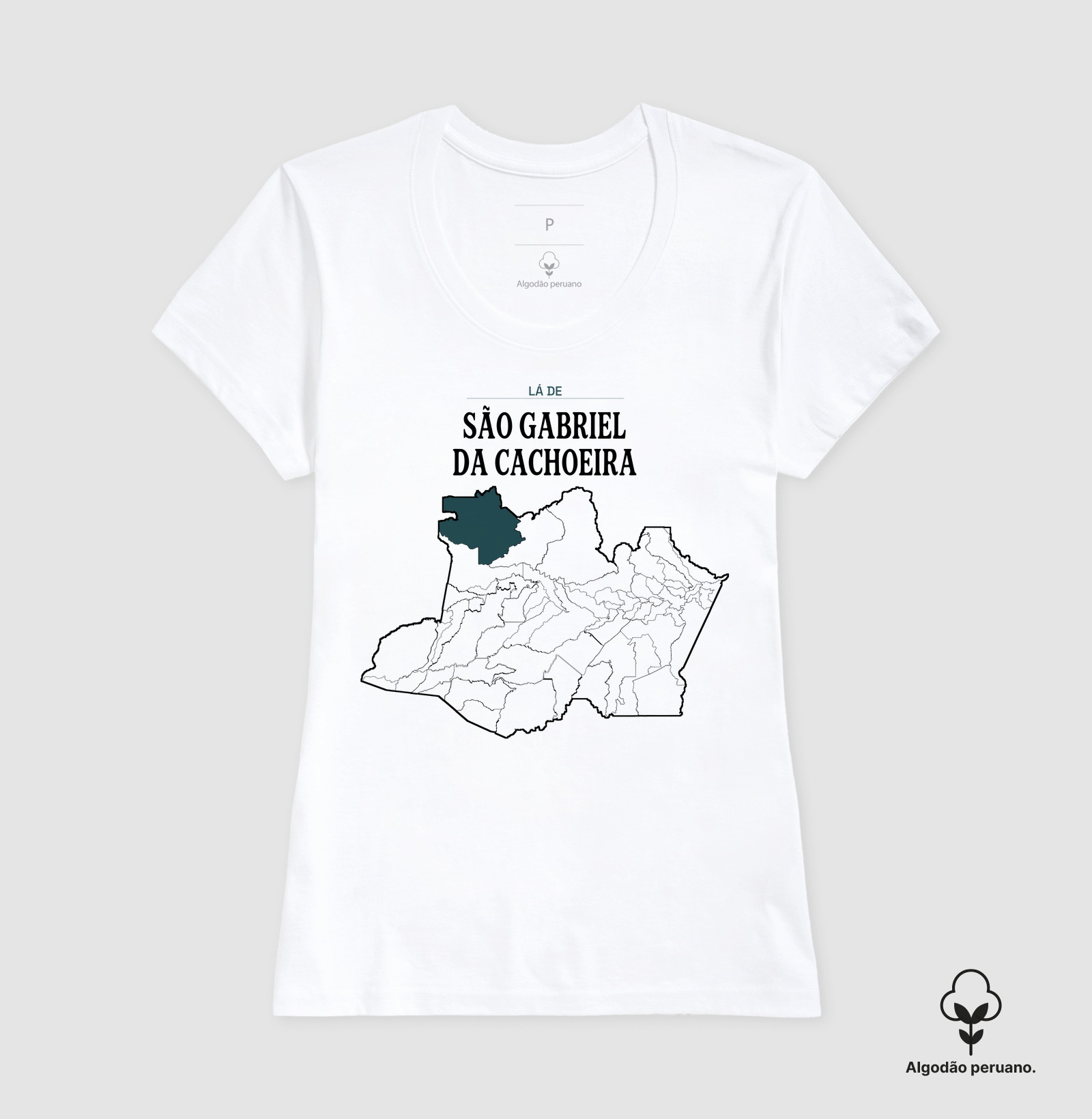 São Gabriel da Cachoeira | Território AM - Imagem 3