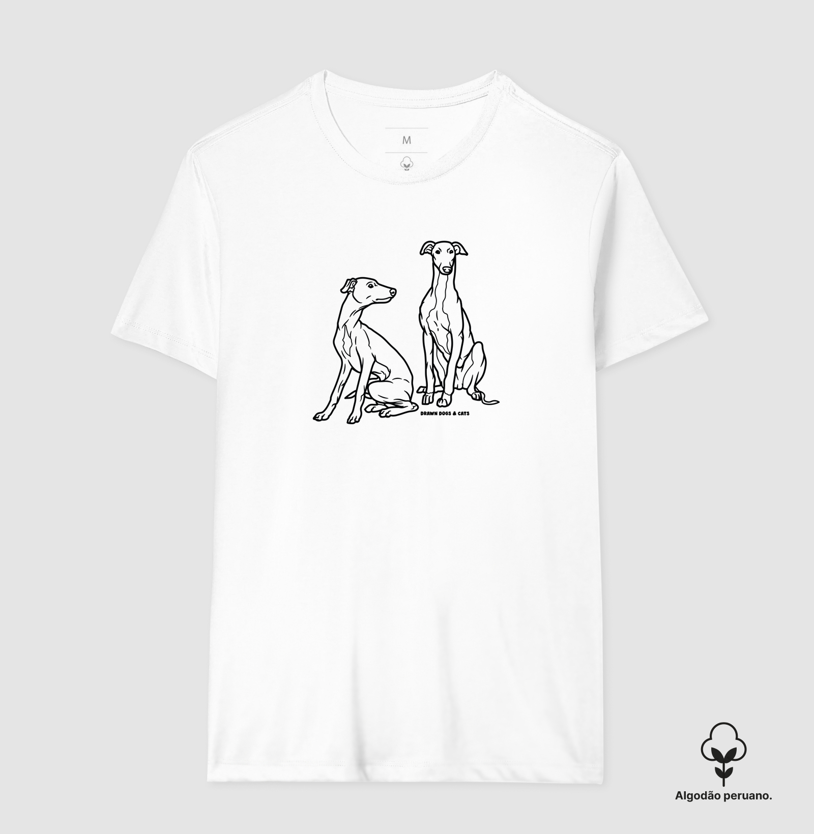 Galgo italiano - Imagem 2
