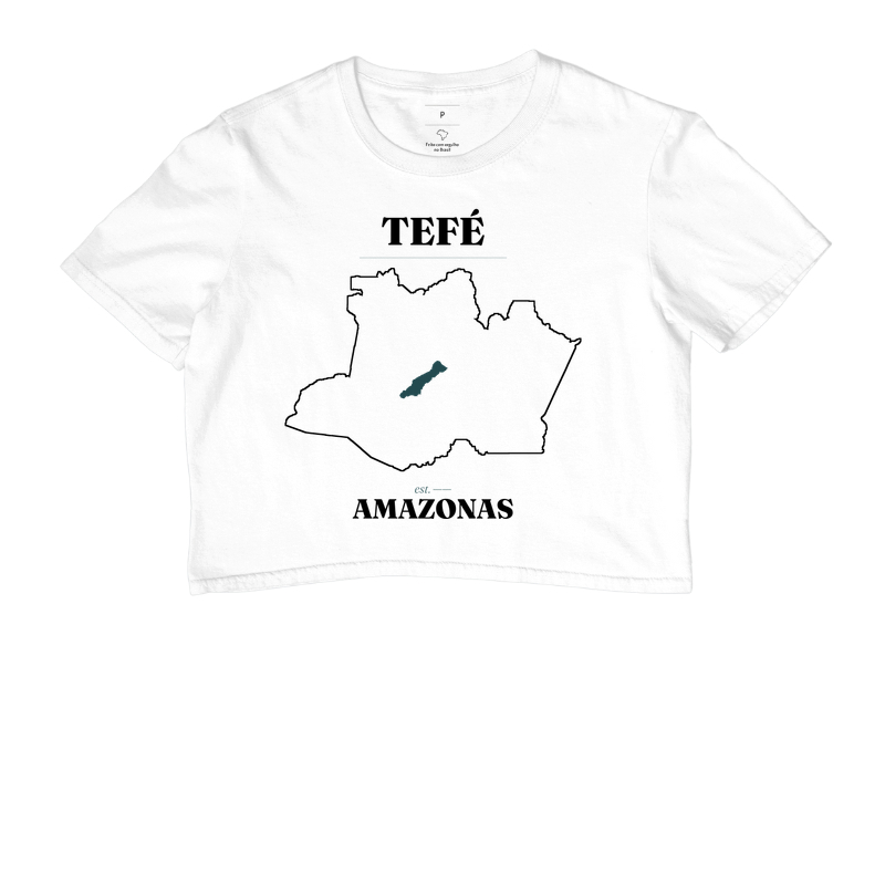 Tefé | Legado AM - Imagem 3