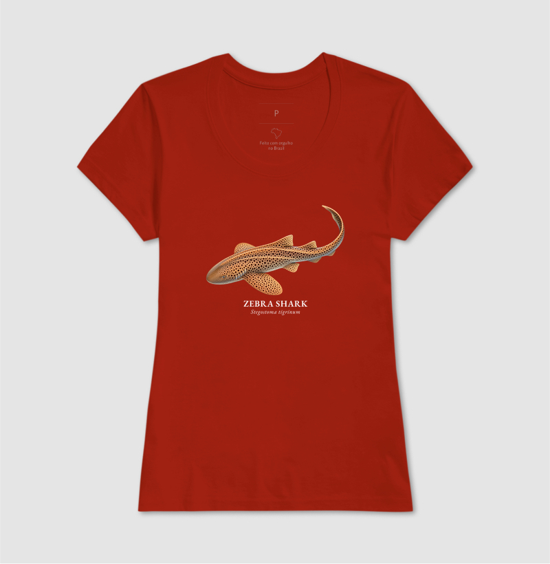 Zebra Shark - Imagem 12