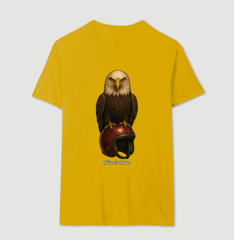 The Eagle and the Helmet - Imagem 14