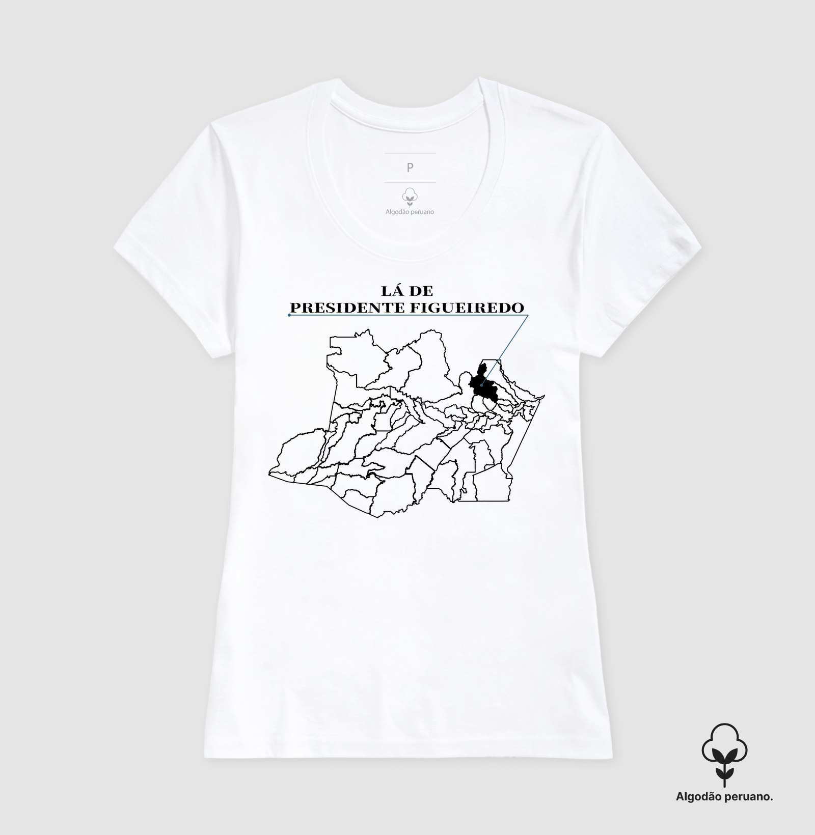 Presidente Figueiredo | Origem AM - Imagem 5