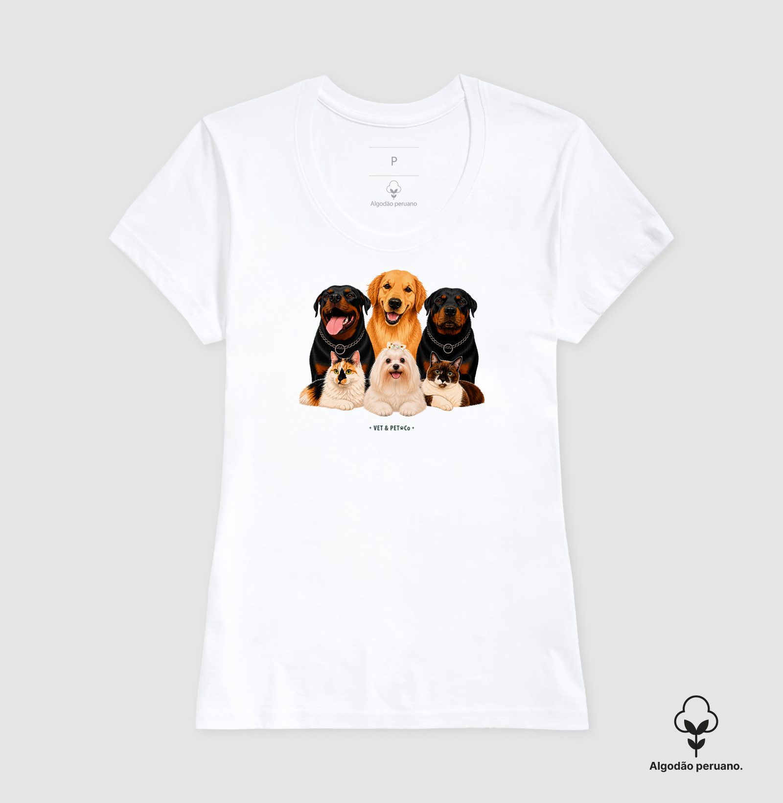 Camisa 6