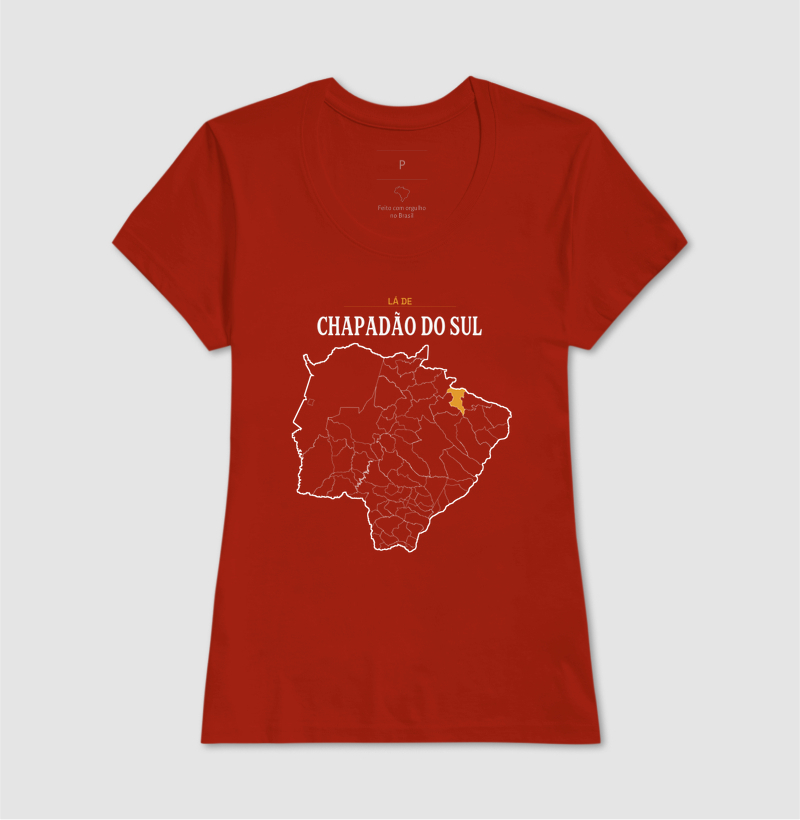 Chapadão do Sul | Território MS - Imagem 11