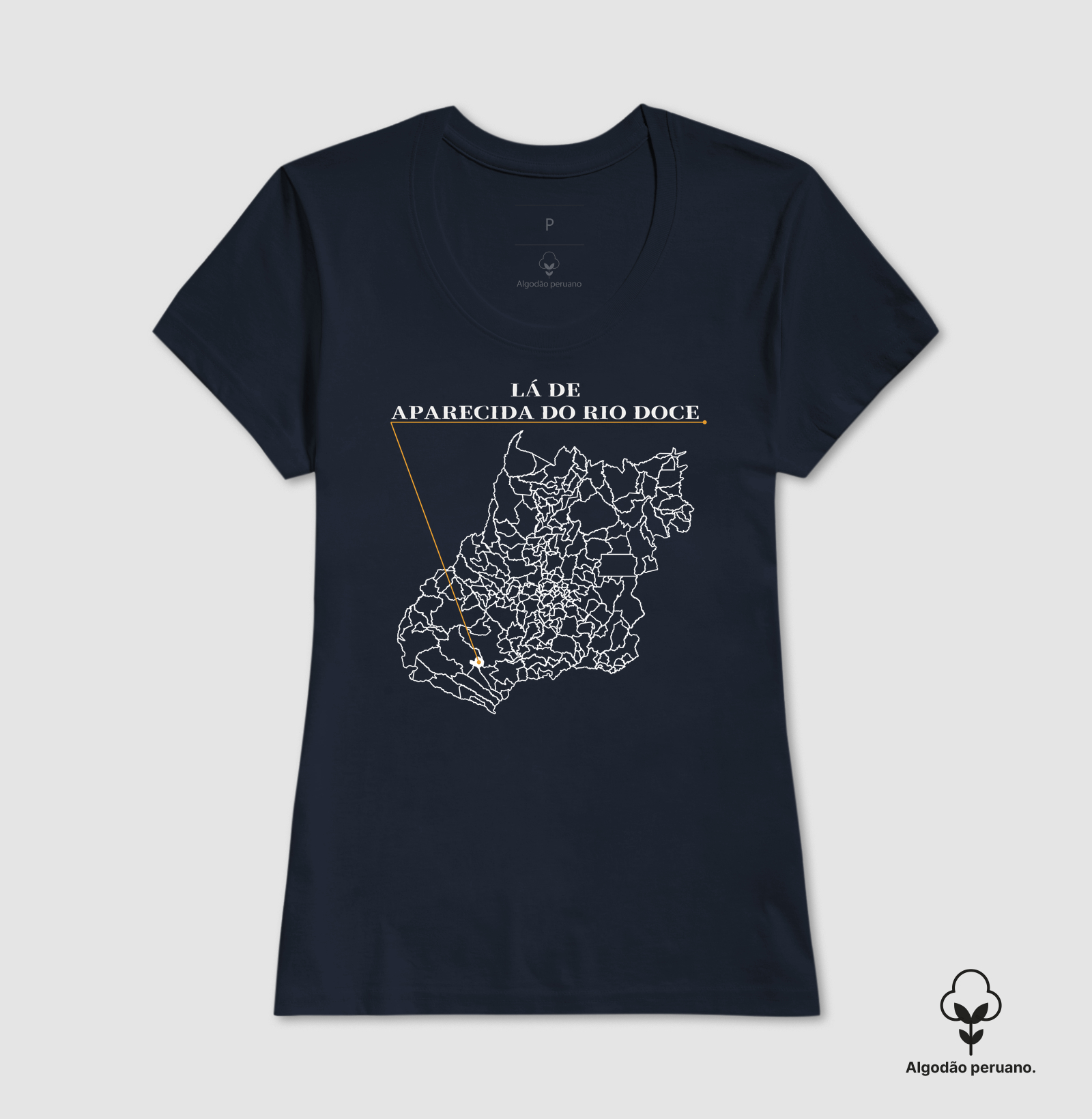 Aparecida do Rio Doce | Origem GO - Imagem 8